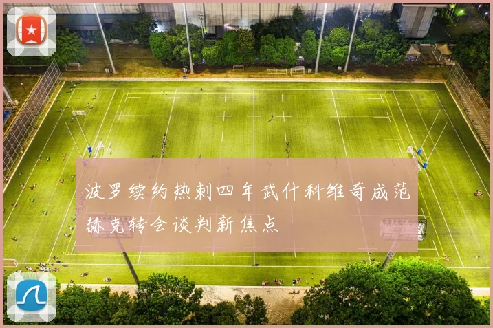波罗续约热刺四年武什科维奇成范赫克转会谈判新焦点